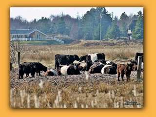 Ausflug nach Roemoe (6).jpg